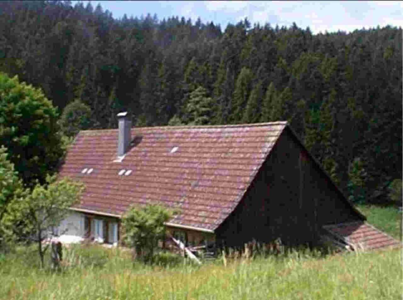 Ferienhaus Schwarzwald Seewald Erzgrube Badesee 100% Natur Экстерьер фото